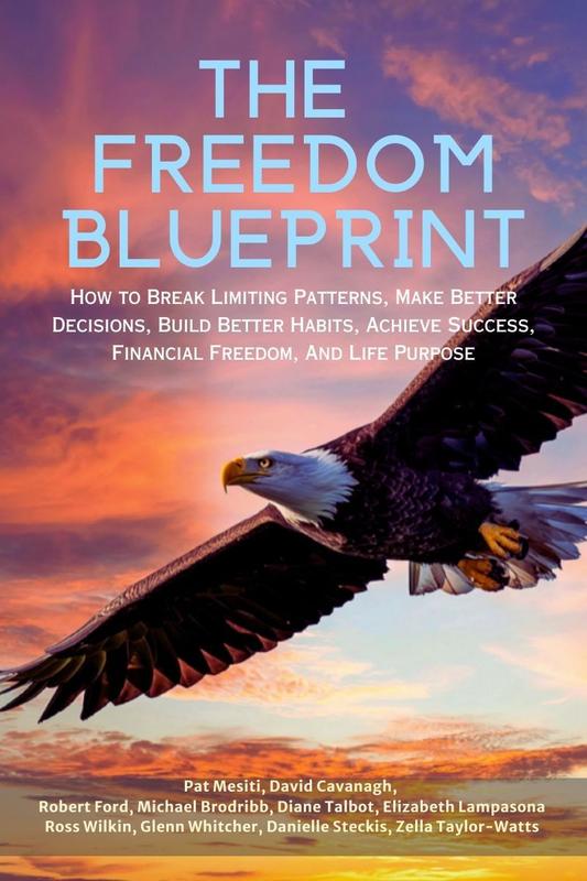 The Freedom Blueprint book cover
